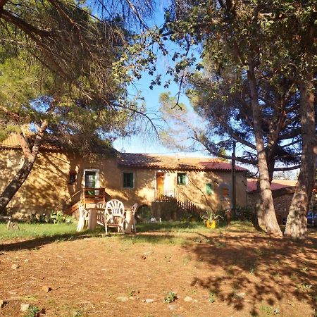 Maison Entiere Hameau Monastir Del Camp Passa Dış mekan fotoğraf