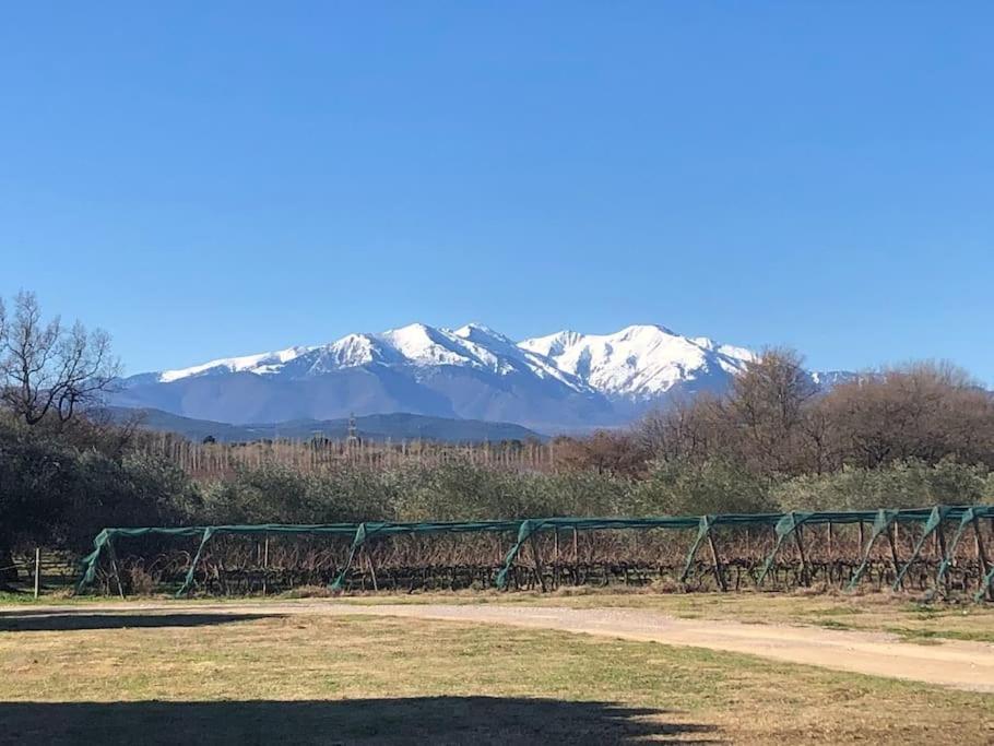 Maison Entiere Hameau Monastir Del Camp Passa Dış mekan fotoğraf