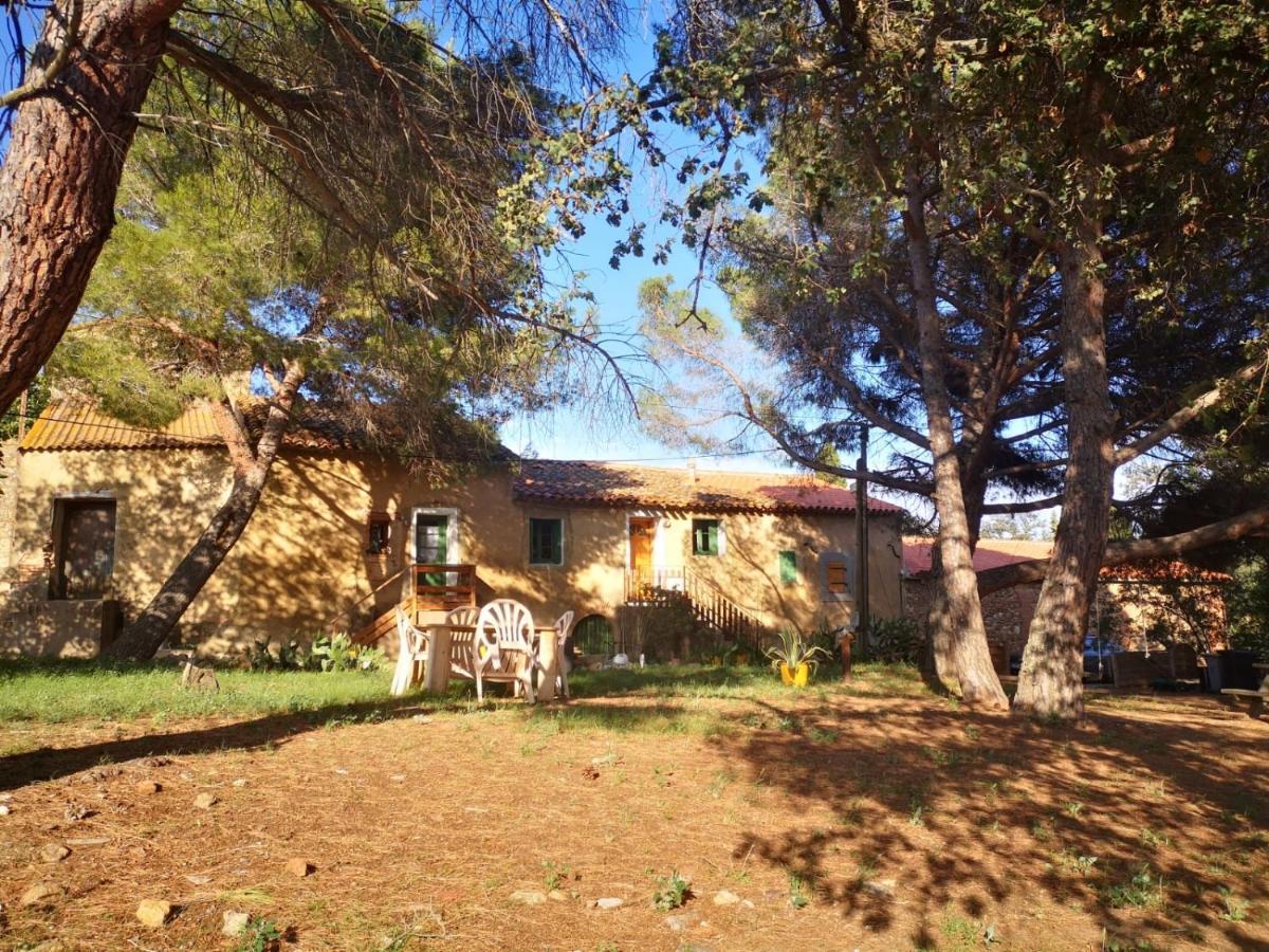Maison Entiere Hameau Monastir Del Camp Passa Dış mekan fotoğraf